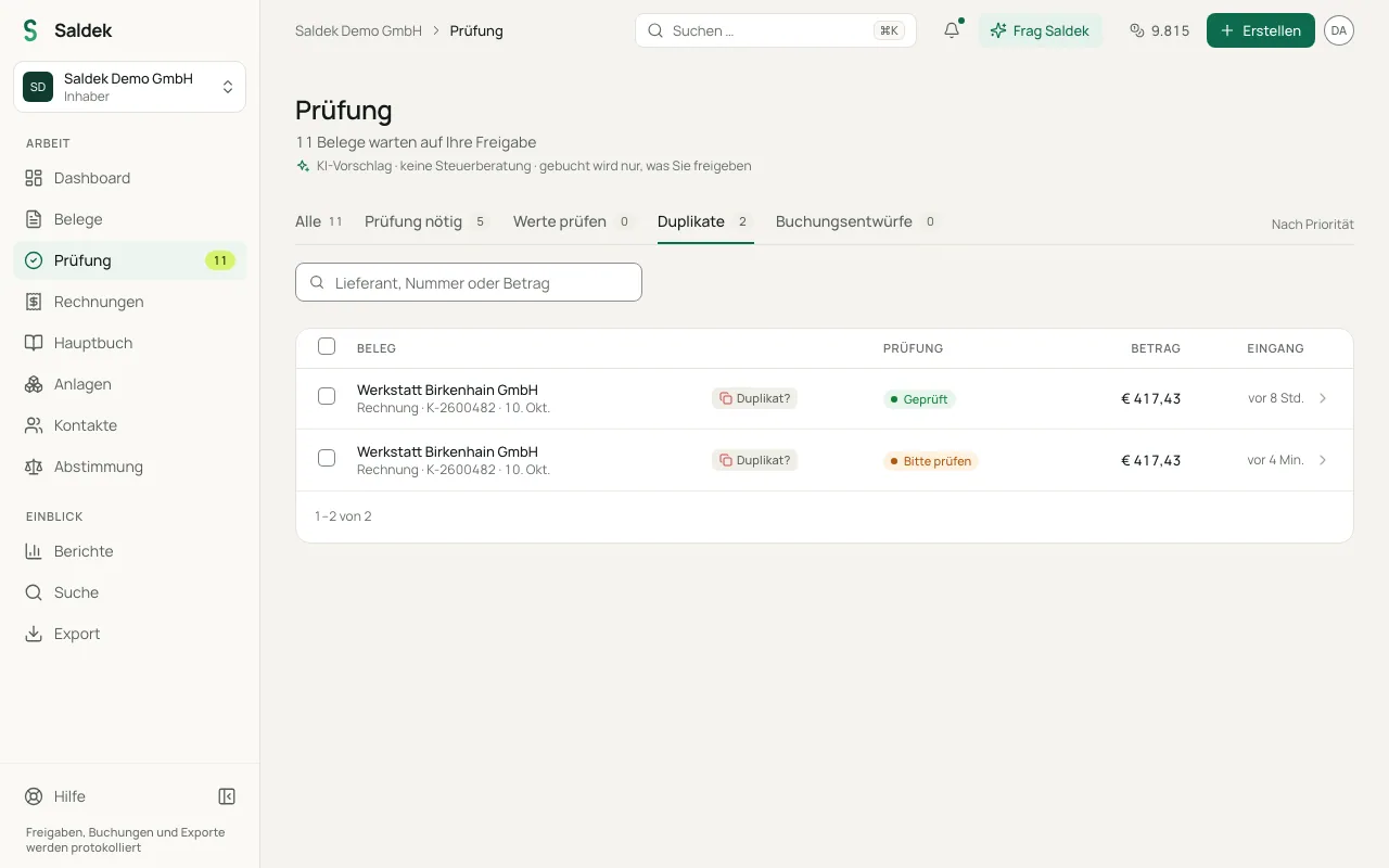The “Duplicates” tab in “Review” showing two identical documents from Werkstatt Birkenhain GmbH, each marked “Duplicate?”.